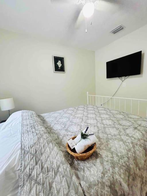 Vintage Family Scape + Heated Pool&Discount Villa Tampa Luaran gambar