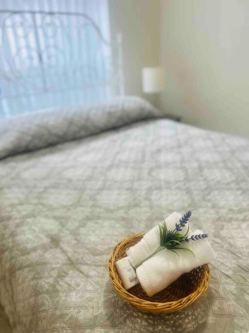 Vintage Family Scape + Heated Pool&Discount Villa Tampa Luaran gambar